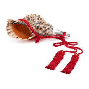 【 伊勢 宮忠 】【 No.50 法螺貝(ほら貝) 15インチ】全長37.6cm 幅17.2cm 神具 楽器 笛 ほら貝 ホラ貝 神社祭儀式用具 神社 神職 真言宗