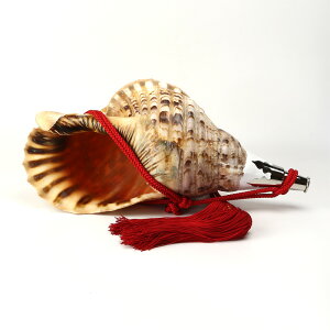 y ɐ { zy No.9 @LiقLj ^ zS43cm 23.6cm _ y J قL zL _ЍՋVp _ _E ^@