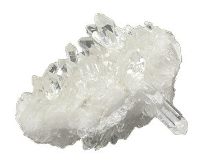 yyVX[p[SALEzy10%offzNX^[ig}XSTKYj No.254