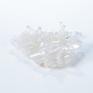  NX^[ iAJ A[J\[BYj No.842