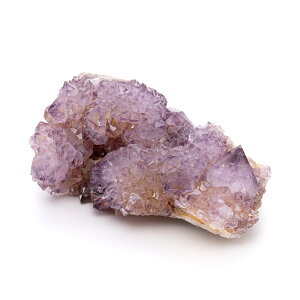 yyVX[p[SALEzy10%offzAWXg  JN^XAWXg iXsbgAWXgj iAtJYj i No.52