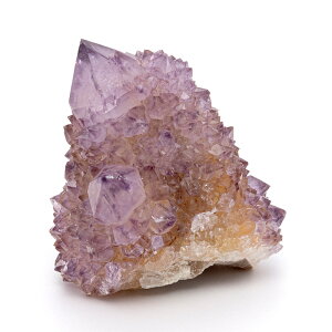 AWXg  JN^XAWXg iXsbgAWXgj iAtJYj i No.56