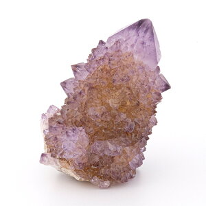 yyVX[p[SALEzy10%offzAWXg  JN^XAWXg iXsbgAWXgj iAtJYj i No.59