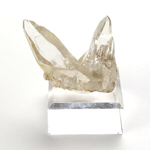 yyVX[p[SALEzy10%offz NX^[ iq} KlbVq}[Yj ANt No.637