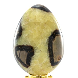 Zv^A ^ iGbO^j i}_KXJYj No.1