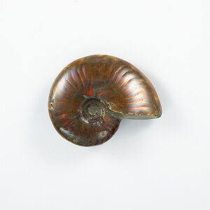 Ip[AiCg  i}_KXJYj No.39