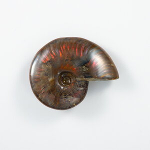 Ip[AiCg  i}_KXJYj No.40