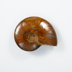 Ip[AiCg  i}_KXJYj No.43