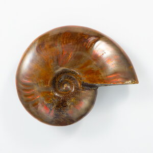 Ip[AiCg  i}_KXJYj No.46