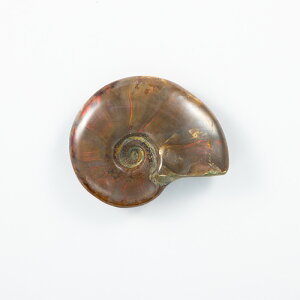 Ip[AiCg  i}_KXJYj No.48