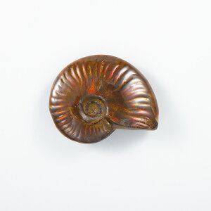 Ip[AiCg  i}_KXJYj No.49