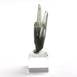 yyVX[p[SALEzy10%offz P iq} KlbVq}[Yj ANt No.84