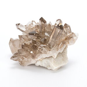 yyVX[p[SALEzy10%offz NX^[ X[L[ iq} }jJYj No.725