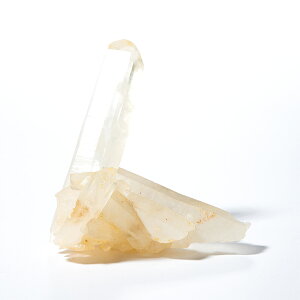 yyVX[p[SALEzy10%offz NX^[ S[h i}_KXJYj No.781