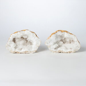  NX^[ WI[hij yA ibRYj No.120