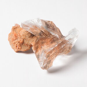  K[fZiCg iLVR `BiCJzRYj No.23