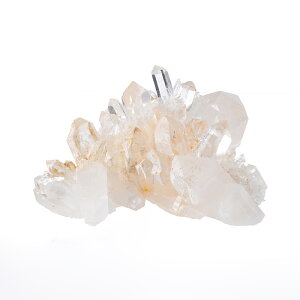 yyVX[p[SALEzy10%offz NX^[ o`X^ ipLX^Yj No.756