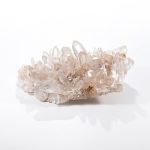 yyVX[p[SALEzy10%offz NX^[ iq} }jJYj ^ No.802