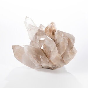 yyVX[p[SALEzy10%offz NX^[ iq} }jJYj ^ No.803