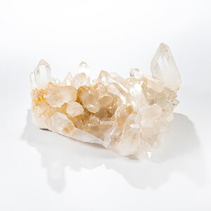  NX^[ iq} }jJYj ^ No.804