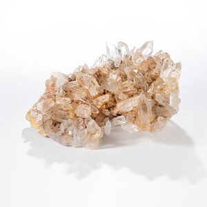 yyVX[p[SALEzy10%offz NX^[ iq} }jJYj ^ No.806