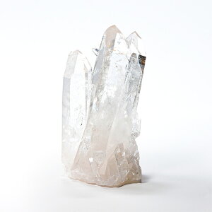 yyVX[p[SALEzy10%offz NX^[ iAJ A[J\[BYj i No.815