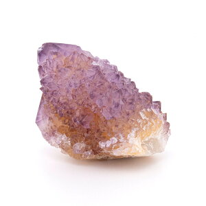 AWXg  JN^XAWXg iXsbgAWXgj iAtJYj i No.64