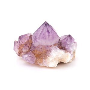 AWXg  JN^XAWXg iXsbgAWXgj iAtJYj i No.65