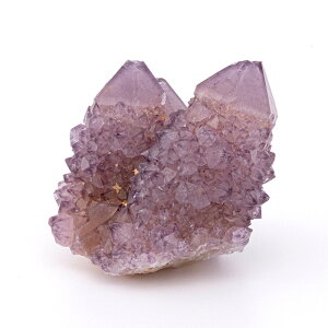 yyVX[p[SALEzy10%offzAWXg  JN^XAWXg iXsbgAWXgj iAtJYj i No.73