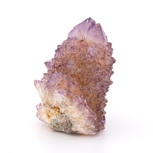 AWXg  JN^XAWXg iXsbgAWXgj iAtJYj i No.74