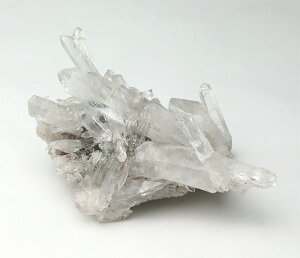 yyVX[p[SALEzy10%offz NX^[ [U[NX^[ iuWYj No.294