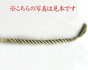 y ɐ { zy ߓi_Ipj 6×a8cm{Y i؂艺Ȃj zS180cm a8cm ߓ A  ߓ _I {Y _IY 4ڈ{Y