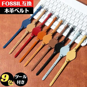 Fossil ݊ oh ւxg vxg h  킢 fB[X rv v xg oh fB[X {v U[ 8mm X^CbV bL[J[ c[t  H 