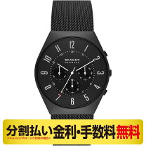 楽天市場】スカーゲン skagen クオーツ メンズ 腕時計 skw6086 グレー 