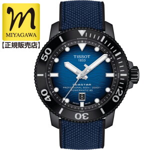�y10%OFF�N�[�|���ł����zTISSOT �e�B�\ �V�[�X�^�[ 2000 �v���t�F�b�V���i�� T120.607.37.041.00 �r���v �����Y ������ 600m�h�� T1206073704100 36�񖳋���