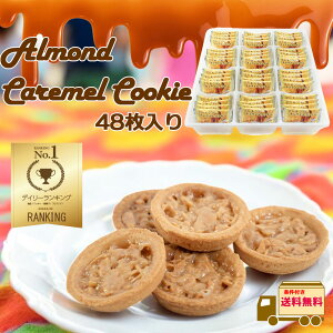 j[AIpA[hLNbL[ 48  yVLO1ʊlII t^NbL[ A[h L RSL iKg o