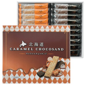 �k�C���L���������`���R�T���h �v���[�����L���������� � �e10�� �k�C���y�Y ���o��