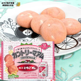 酪王いちごオレ カントリーマアム 16個入り 個包装 チョコチップクッキー 酪王 いちごオーレ 手土産 ばらまき 福島 お土産 長登屋 ナガトヤ