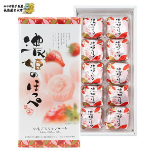 ZP̂ق VtHP[Lij 10 mَq 򕌌 yY o