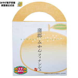 S݂tBiVF 6  Ăَq tBiVF yY m iKg o