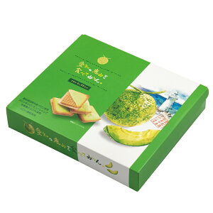  OhV 10   ΂܂ َq OhV NbL[ m yY  iKg o