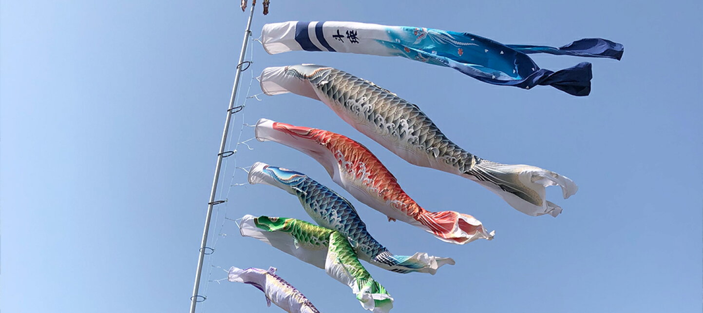 楽天市場 | 雛人形 五月人形 鯉のぼりの久宝堂 - 大きなお家・施設に 