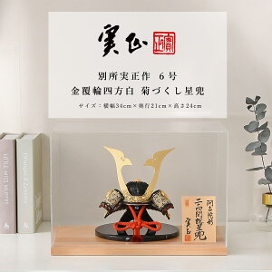 ʏ ܌l`  CeA  6 ÑɌ` \l ANP[X [߂̐ߋyDҊiz