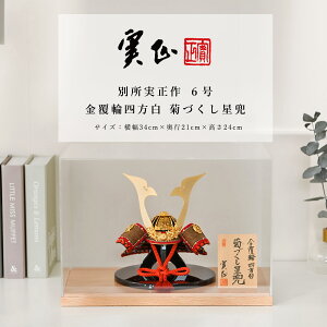 y11/20`27ԌISi|Cg3{Izʏ ܌l`  CeA  6 ֎l eÂ ANP[X [߂̐ߋyDҊiz