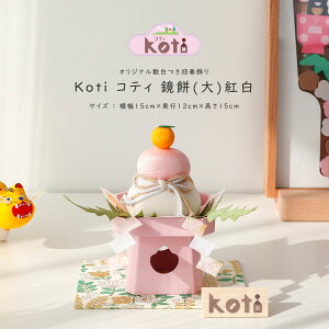 y11/1聙Si|Cg3{Iz k }t Koti ReB () g v󓰃IWiReB~t ERhE