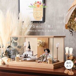 y11/20`27ԌISi|Cg3{Izy2000~OFFN[|szl` P[X RpNg  ЂȐl` P[X ԑЂ ~j ux`SHIORIv eP[X ԑV[