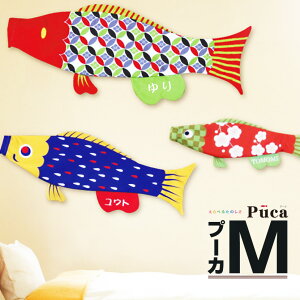 ̂ڂ   ̂ڂ Puca v[J Iׂ40 îڂ i ̂ڂ O  MTCY