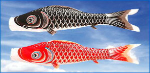 y11/4`11/10聙Si|Cg3{Iẑڂ ̂ڂ Pi ͌@1.5m t ǉ  [߂̐ߋ ܌ q̓yPiւlΉ͂ł܂z