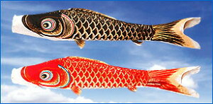 y11/4`11/10聙Si|Cg3{Iẑڂ ̂ڂ Pi a@1.5m t  ǉ  [߂̐ߋ ܌ q̓yPiւlΉ͂ł܂z