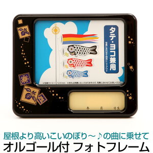 y11/20`27ԌISi|Cg3{Iz܌IS[ @Ҋi[߂̐ߋj IS[t@tHgt[@cp